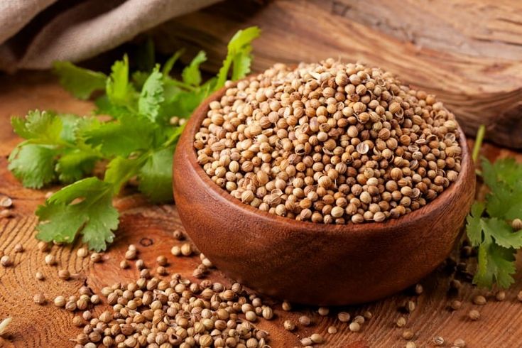 Coriander